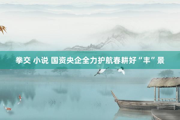 拳交 小说 国资央企全力护航春耕好“丰”景