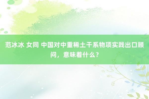 范冰冰 女同 中国对中重稀土干系物项实践出口顾问，意味着什么？