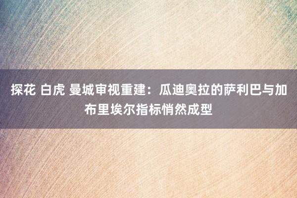 探花 白虎 曼城审视重建：瓜迪奥拉的萨利巴与加布里埃尔指标悄然成型