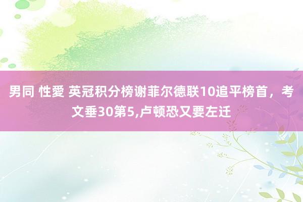 男同 性愛 英冠积分榜谢菲尔德联10追平榜首，考文垂30第5，卢顿恐又要左迁