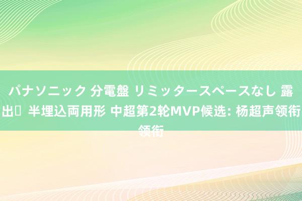 パナソニック 分電盤 リミッタースペースなし 露出・半埋込両用形 中超第2轮MVP候选: 杨超声领衔