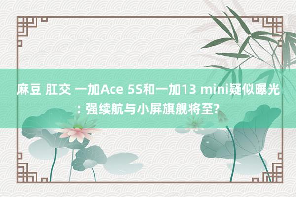 麻豆 肛交 一加Ace 5S和一加13 mini疑似曝光: 强续航与小屏旗舰将至?