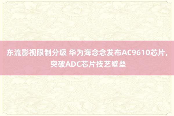 东流影视限制分级 华为海念念发布AC9610芯片， 突破ADC芯片技艺壁垒