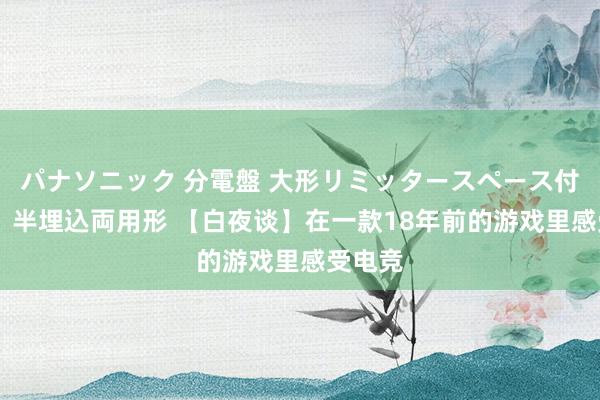 パナソニック 分電盤 大形リミッタースペース付 露出・半埋込両用形 【白夜谈】在一款18年前的游戏里感受电竞