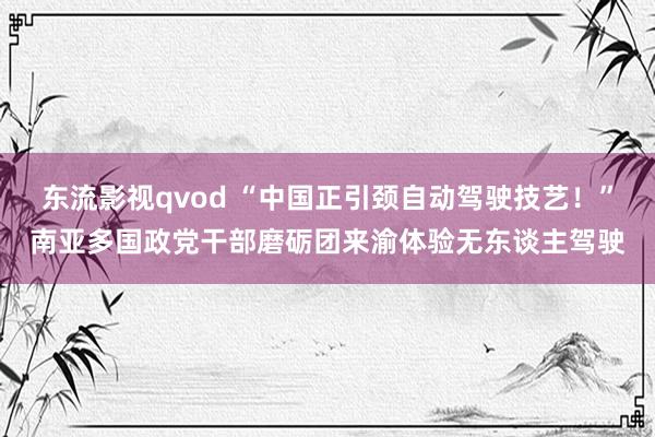 东流影视qvod “中国正引颈自动驾驶技艺！”南亚多国政党干部磨砺团来渝体验无东谈主驾驶