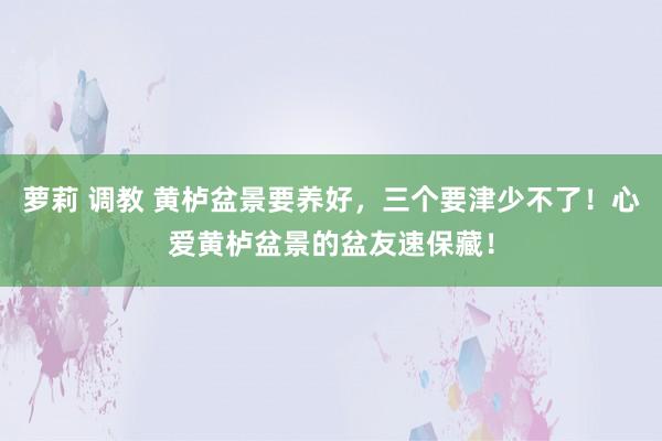 萝莉 调教 黄栌盆景要养好，三个要津少不了！心爱黄栌盆景的盆友速保藏！