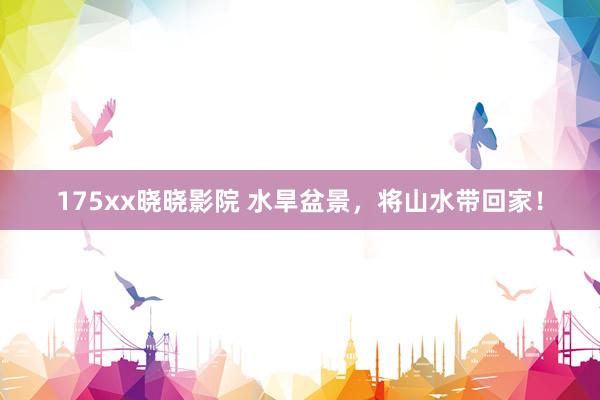 175xx晓晓影院 水旱盆景，将山水带回家！