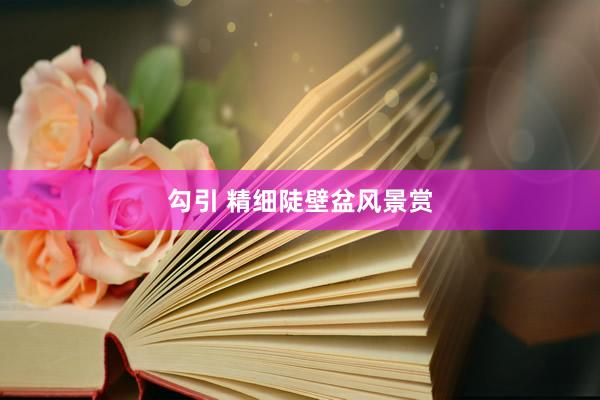 勾引 精细陡壁盆风景赏