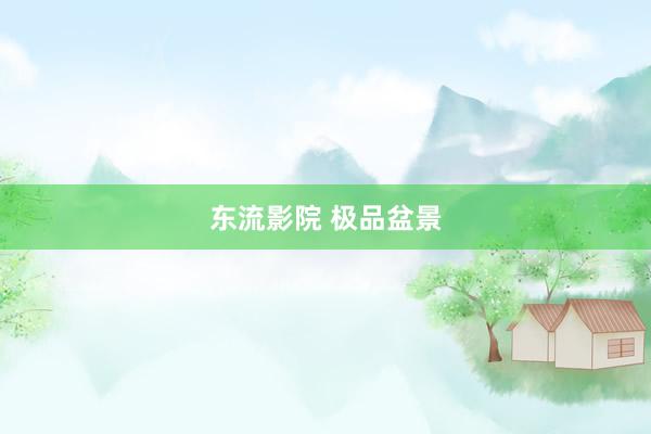 东流影院 极品盆景