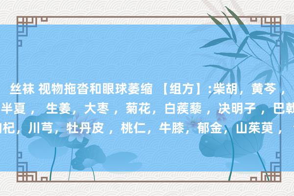 丝袜 视物拖沓和眼球萎缩 【组方】:柴胡，黄芩 ，蕤仁 ，党参 ，炙甘草，半夏 ， 生姜，大枣 ，菊花，白蒺藜 ，决明子 ，巴戟天 ，枸杞，川芎，牡丹皮 ，桃仁，牛膝，郁金，山茱萸 ， 合欢皮 ，夜明砂 1， 草决明 ，蛇蜕