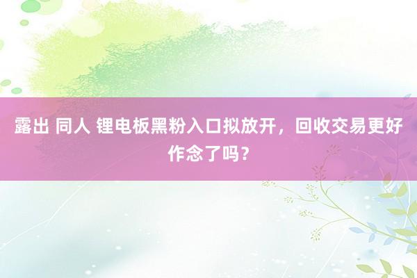 露出 同人 锂电板黑粉入口拟放开，回收交易更好作念了吗？