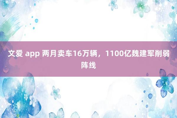 文爱 app 两月卖车16万辆，1100亿魏建军削弱阵线
