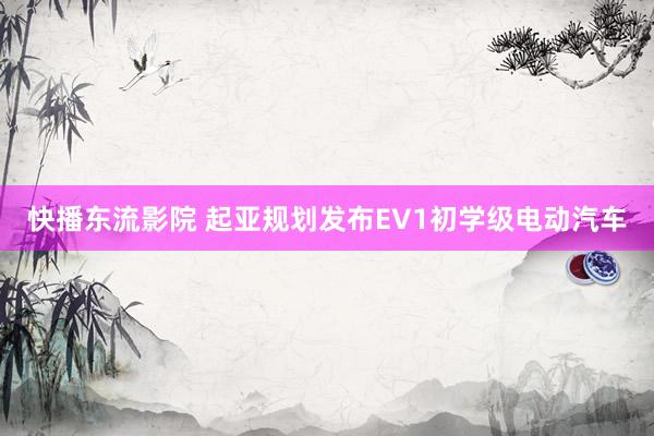 快播东流影院 起亚规划发布EV1初学级电动汽车